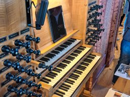 20250427_143603_resized